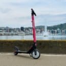 Free 5 Minute Ride on a Flamingo Scooter in Wellington or Christchurch