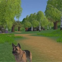 Free Dogs VR App Lab Game