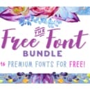 Free Bundle of 16 Fonts