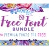 Free Bundle of 16 Fonts