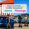 Free Credit for Mevo Cars & Flamingo Scooters
